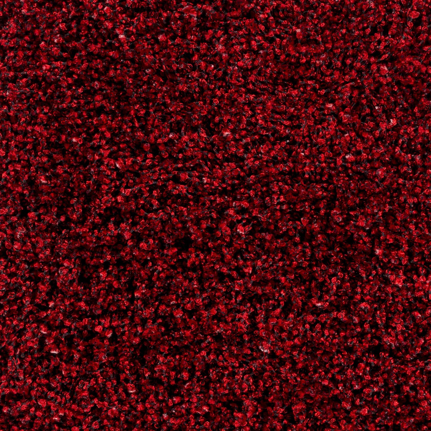 Dorsey Area Rug - Clearance