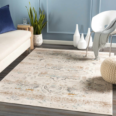 Pursglove Distressed Ivory Rug - Clearance