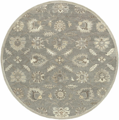 Dulles Area Rug