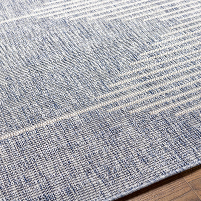 Stephan Blue Outdoor Rug