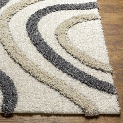 Dungarvan Area Rug - Clearance