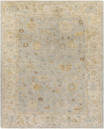 Close-up of the Dunipace Area Rug. Hand-knotted wool rug in beige, blue, brown, oatmeal, and taupe with a traditional Persian-style pattern. Design-Rectangle-810