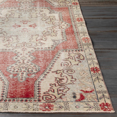 Dunsborough Area Rug