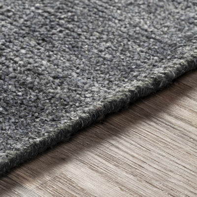 Lecompton Solid Charcoal Viscose Rug - Clearance