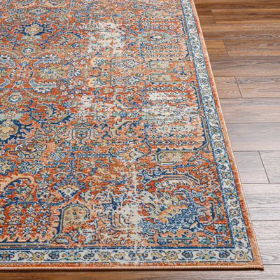 Edem Area Rug - Clearance