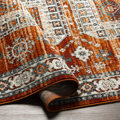 Eflani Area Rug - Clearance