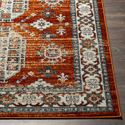 Eflani Area Rug - Clearance