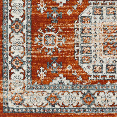 Eflani Area Rug - Clearance