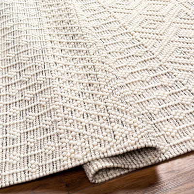 Egil Area Rug - Clearance