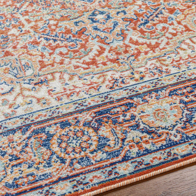 Eilis Area Rug - Clearance