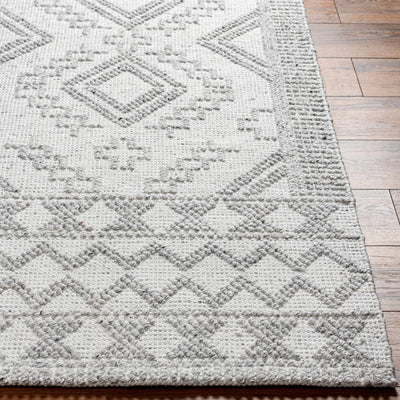 Elin Area Rug