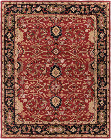 Detailed view of the Encinitas Wool Area Rug featuring a traditional Persian design in red, black, beige, and olive tones. Design-Rectangle-7696