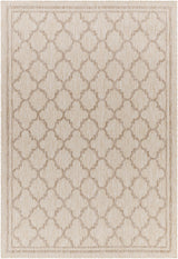 Noam Beige Indoor & Outdoor Rug - Clearance