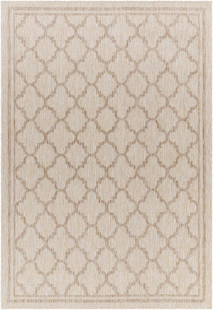 Noam Beige Indoor & Outdoor Rug - Clearance