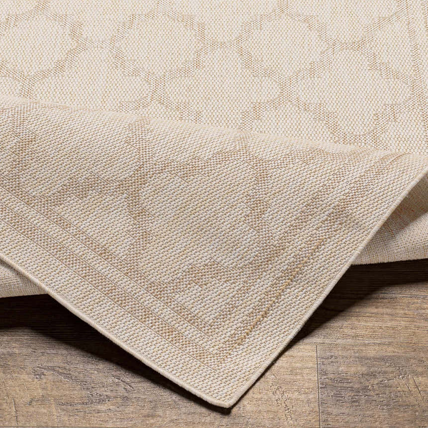 Close-up of the Noam Beige Indoor & Outdoor Rug showing its bone color, woven texture, and traditional design. Fold
