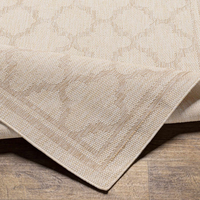 Noam Beige Indoor & Outdoor Rug - Clearance