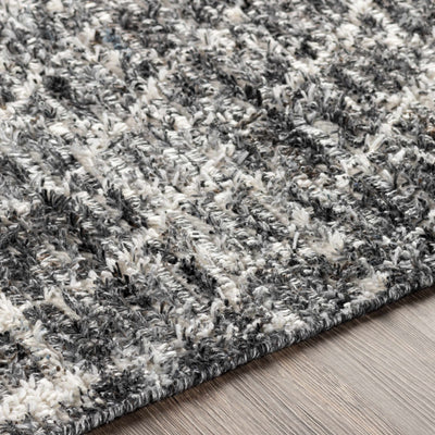 Erina Area Carpet - Clearance