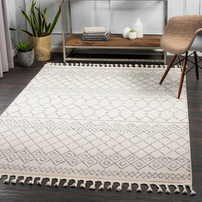 Manomet Rug - Clearance