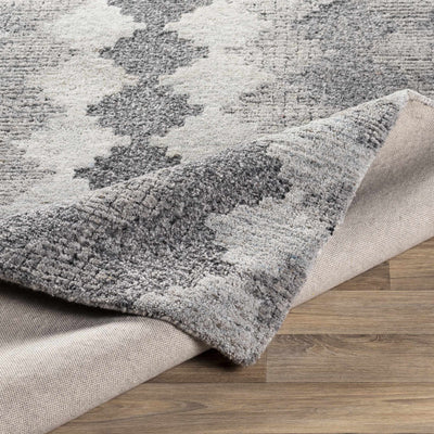 Erwinna Area Rug - Clearance