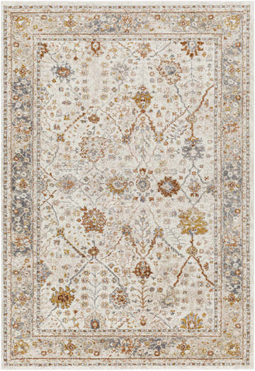 Close-up of the Paatan Luxe Floral Oushaq Area Rug. Features a traditional floral pattern in ivory, gold, brown, and gray tones. Design-Rectangle-5373