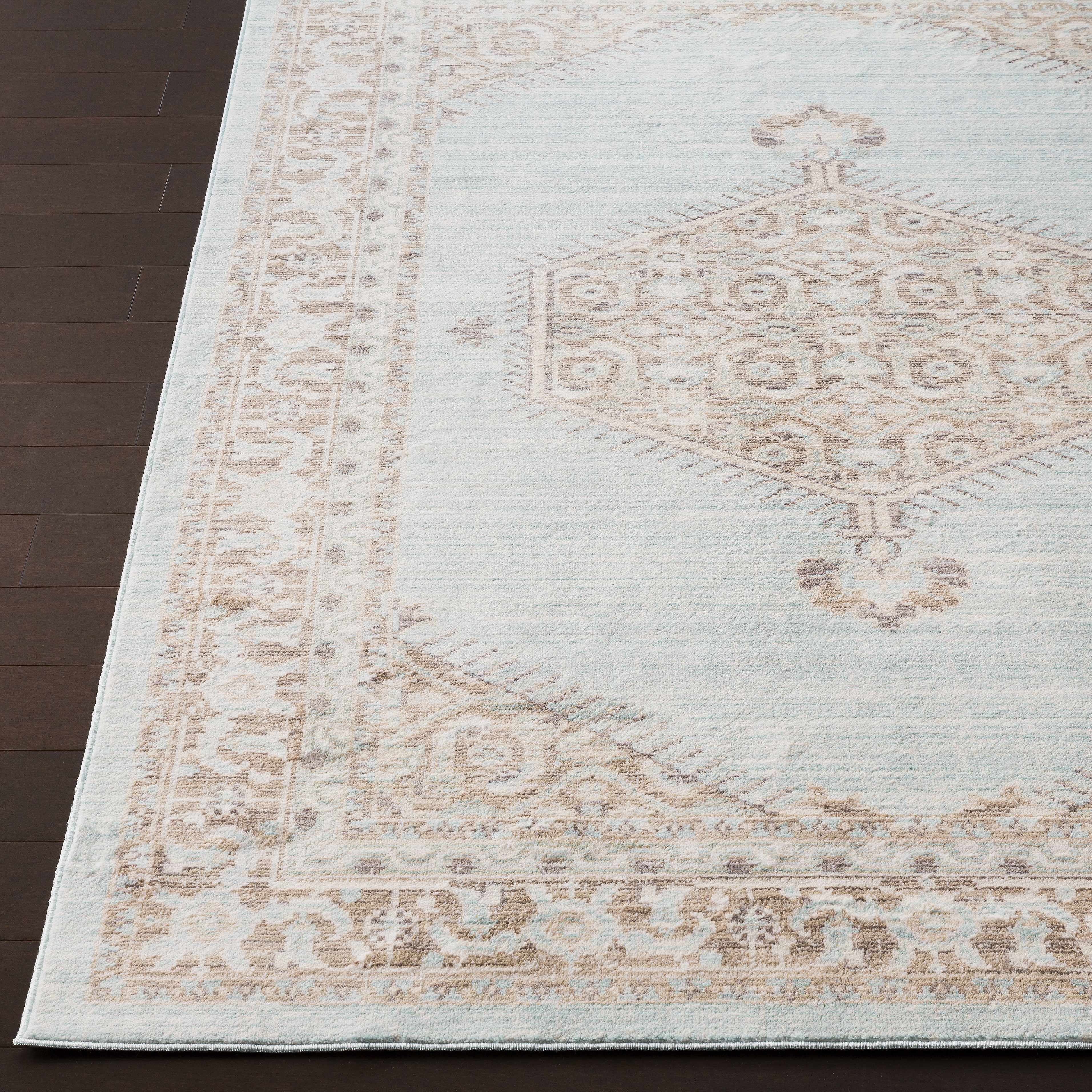Straight-on shot of Escoheag Area Rug - Clearance, providing a full look at the design. Traditional Area Rug Backing  