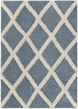 Esenler Modern Shag Carpet - Clearance