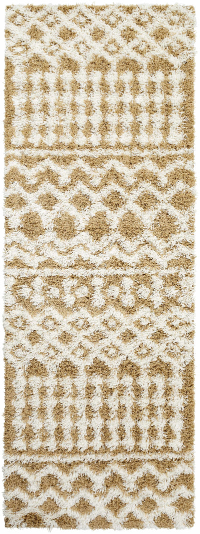 Evely Shag Area Rug