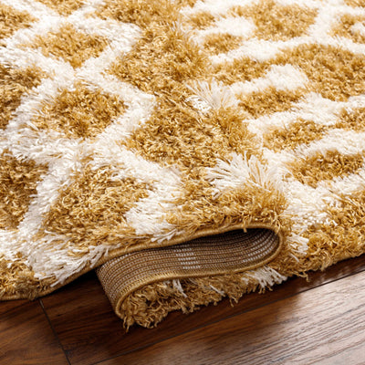 Evely Shag Area Rug