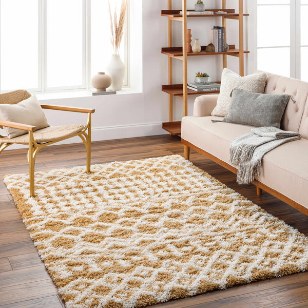 Evely Shag Area Rug