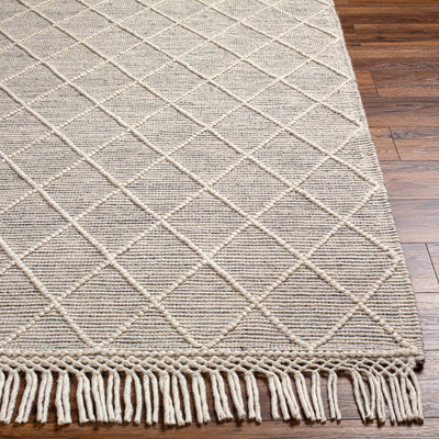 Ezria Area Rug - Clearance