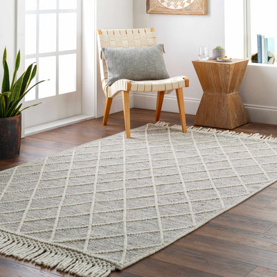 Ezria Area Rug - Clearance