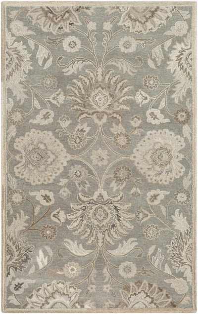 Conesus 1195 Hand Tufted Ivory & Taupe Wool Rug