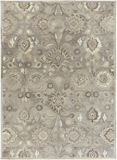 Conesus 1195 Hand Tufted Ivory & Taupe Wool Rug