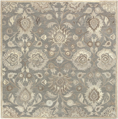 Conesus 1195 Hand Tufted Ivory & Taupe Wool Rug