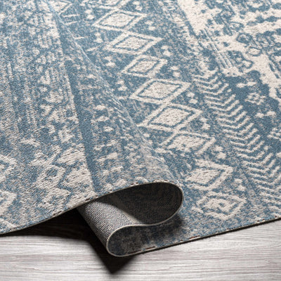 Fatsa Washable Area Rug - Clearance