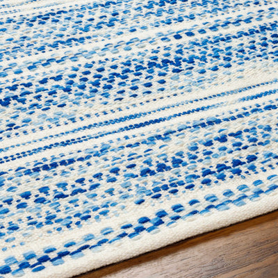 Williford Blue Wool Flatwoven Rug