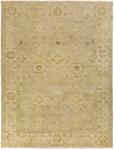 Flaxton Area Rug - Clearance