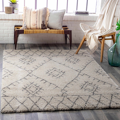 Flintville Area Rug