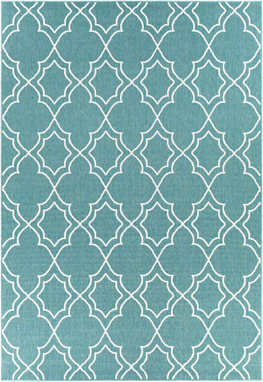 Folsom Area Rug - Clearance