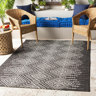 Frankville Black&White All Over Performance Rug