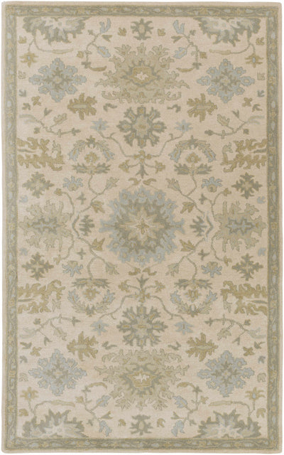 Hazen Hand Tufted Light Beige 1197 Area Rug