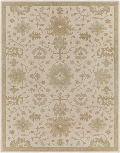 Hazen Hand Tufted Light Beige 1197 Area Rug