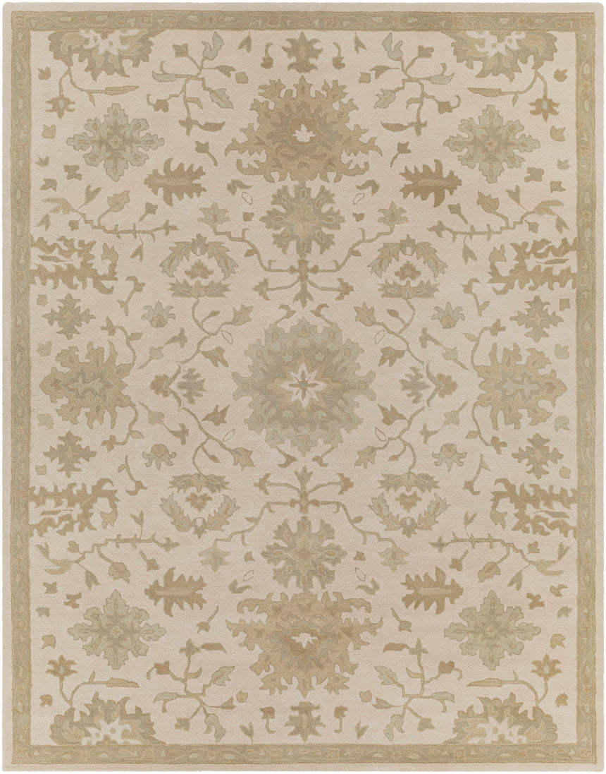 Hazen 1197 Hand Tufted Light Beige Wool Rug
