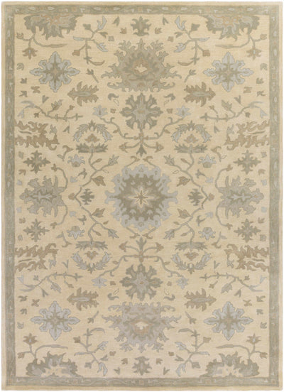 Hazen Hand Tufted Light Beige 1197 Area Rug