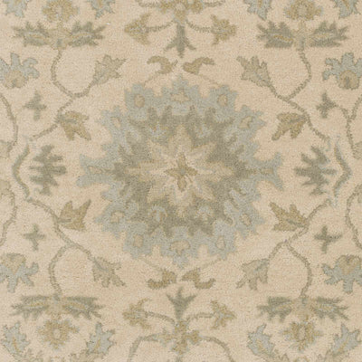 Hazen Hand Tufted Light Beige 1197 Area Rug