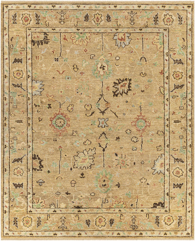 Gammad Hand Knotted Wool Area Rug