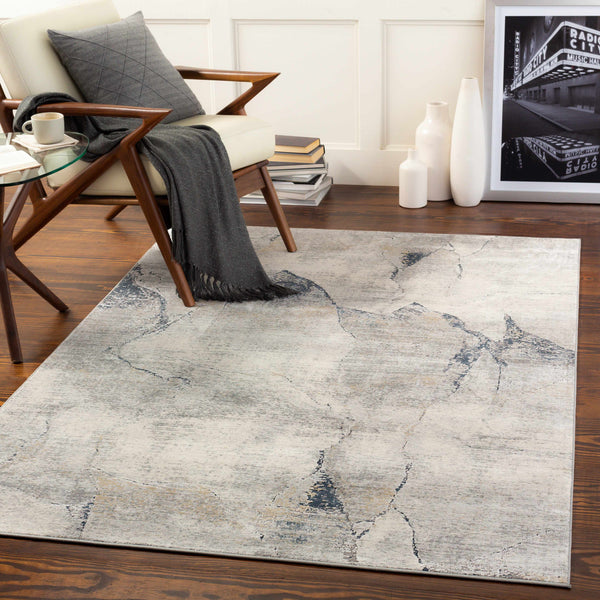 Gasquet Gray Marble Rug - Promo