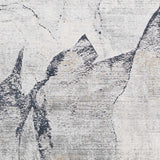 Gasquet Gray Marble Textured Luxe Rug