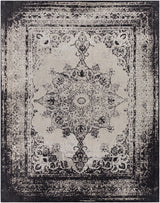 Goodwick Area Rug - Clearance