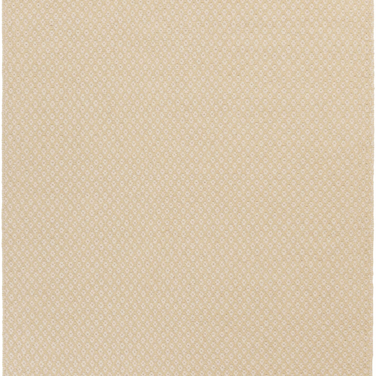 Gheen Area Rug - Clearance – Boutique Rugs